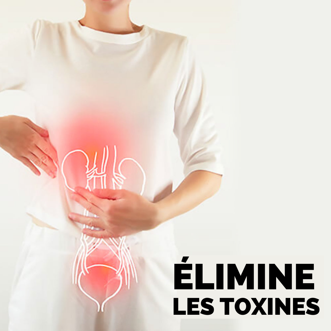 Patchs nettoyants et purifiants le corps